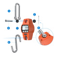 SF-916 Digital Mini Portable Industrial Cree Scale 300kg